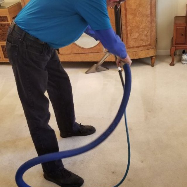 DynaClean Professional Services