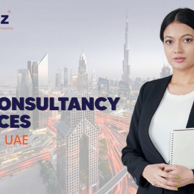 VAT Consultancy Services in Dubai, UAE