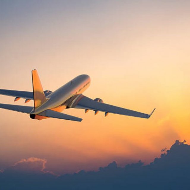 {Instant~Service} Contact Philippine Airlines Manage Booking