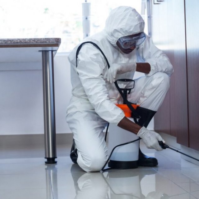 EVO Pest Control