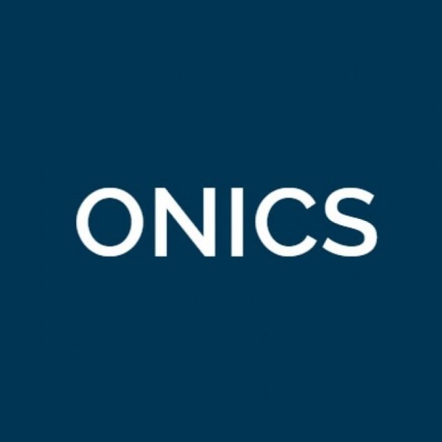 Onics power resistor
