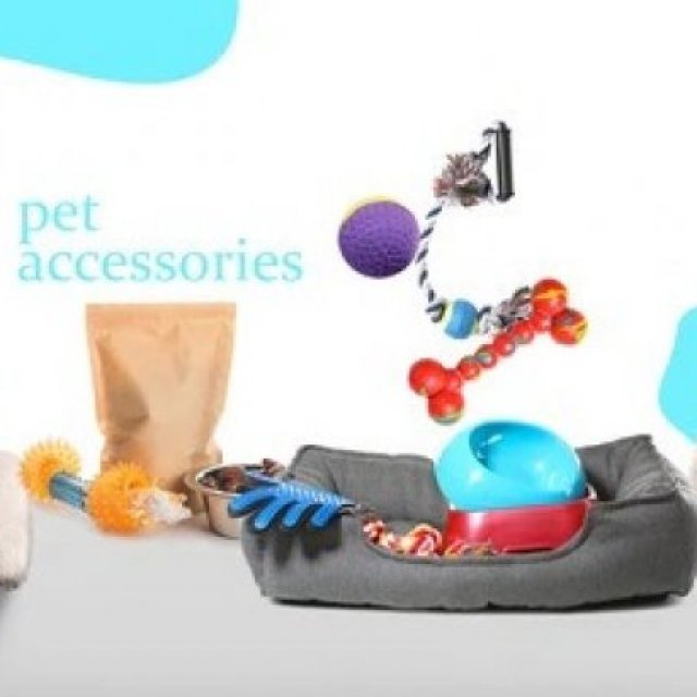 Krazzy Pets