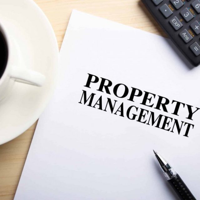 MC Property Plus