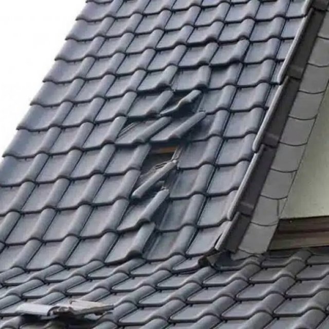 Professional Roofing Specialists