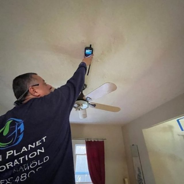 Green Planet Restoration San Diego