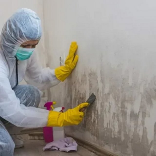 Soflo Mold Specialist