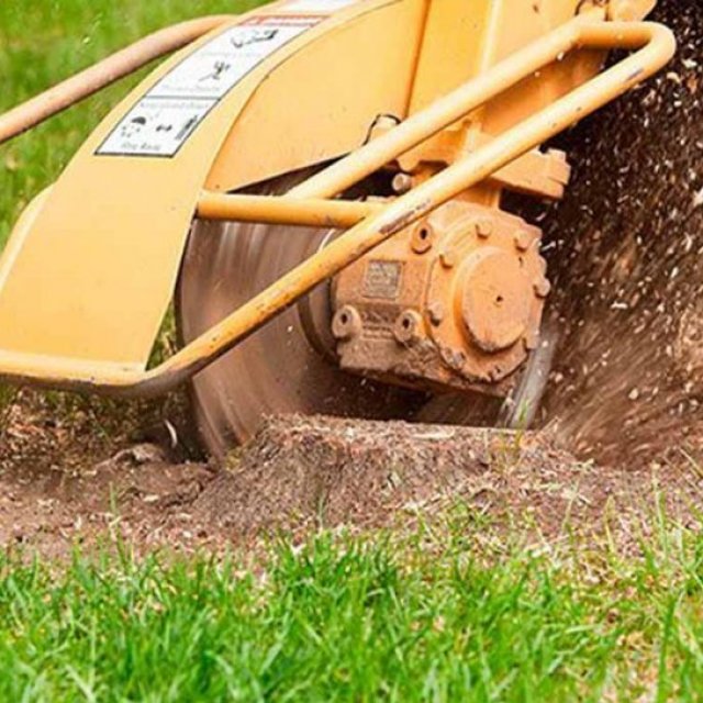 Wigan Stump Grinding