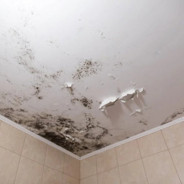 Restoremasters Water Damage & Fire Restoration