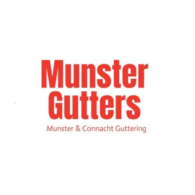 Munster Gutters & Roof Repairs