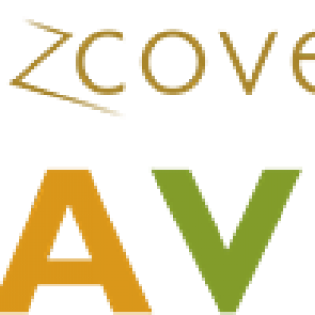 Dizcover Praveg