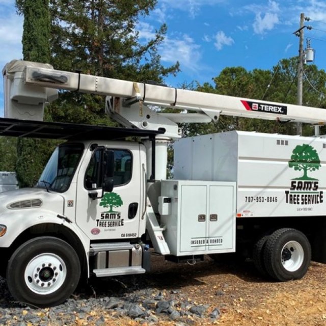 Sam's Tree Service