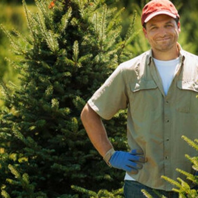 Wigan Hedge Trimming