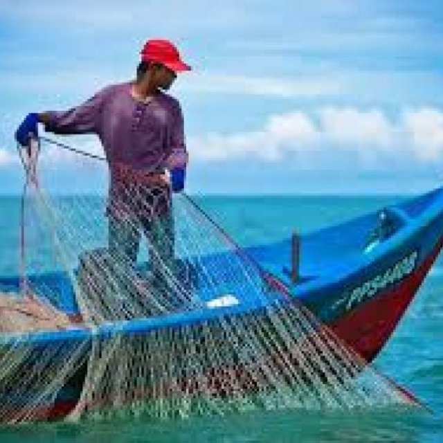 Breeze fish point