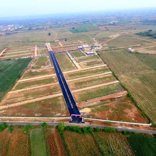 What is the price of authority plots in Noida Extension?