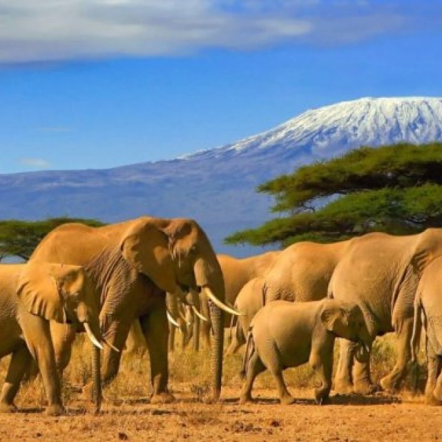 Tanzania e-Visa