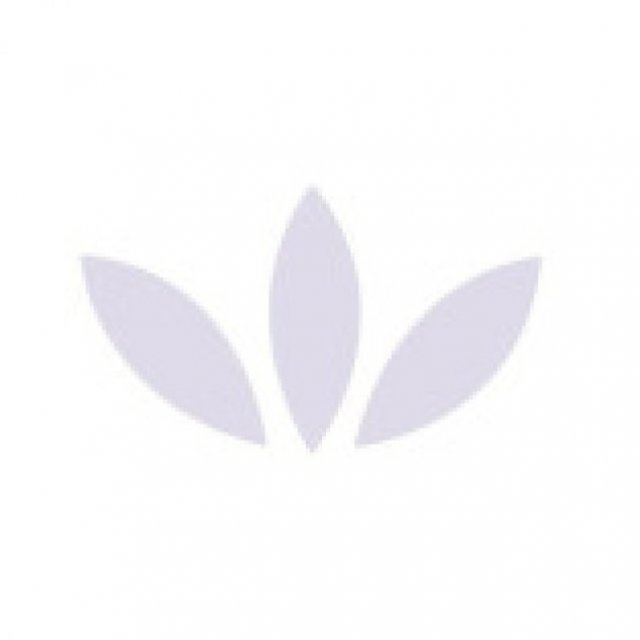 Alterna Cremation