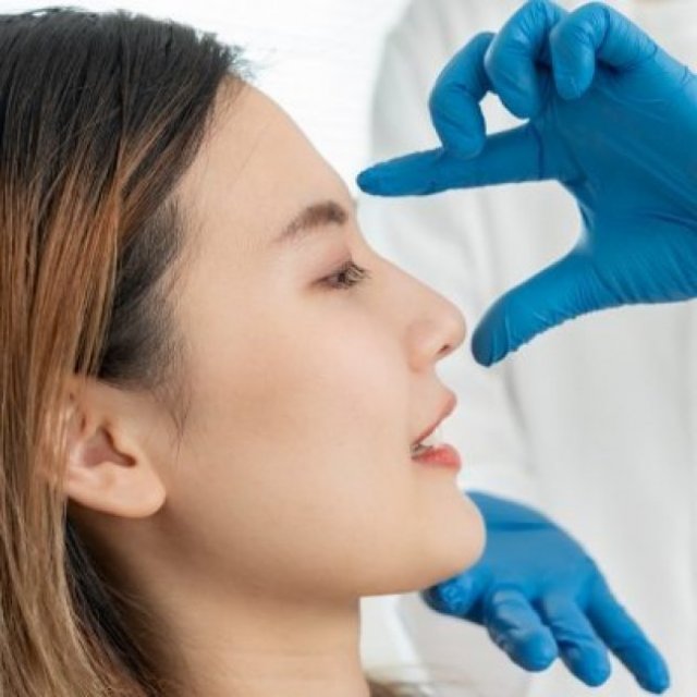 Understanding Nasal Anatomy: Septum and Turbinates Explained
