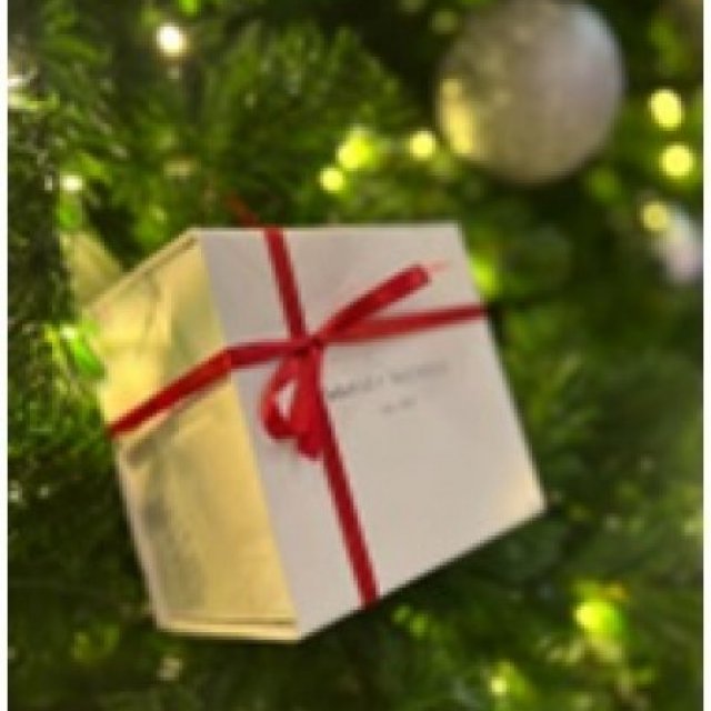 Light Up Christmas