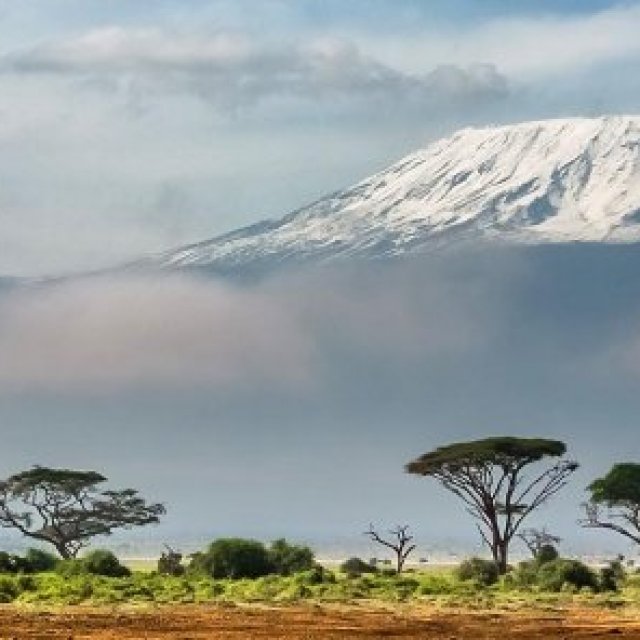 Kwesa Tours