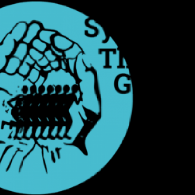 Synergy Therapeutic Group