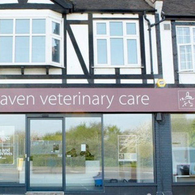 Maven Veterinary Care