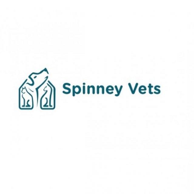 Spinney Vets - Wootton Fields | Northampton