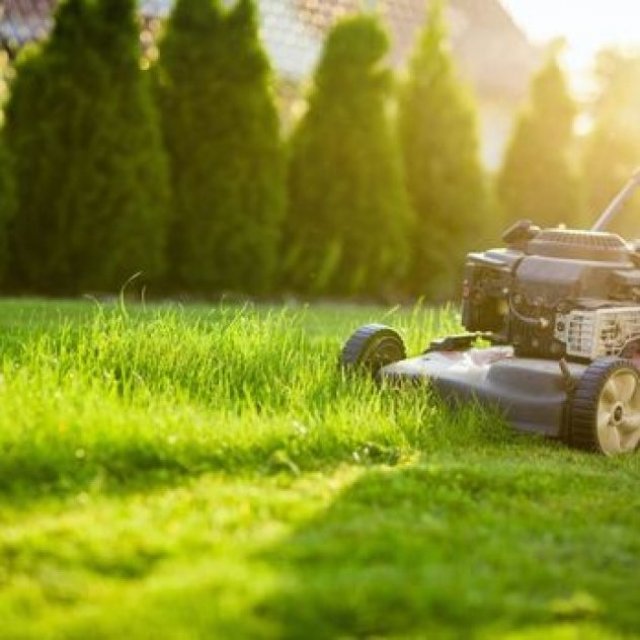 GreenGo Garden Service