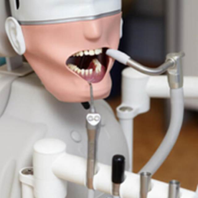 Atlas Dental Scholars