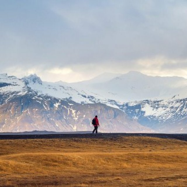 Buddha Travel and Tours NZ