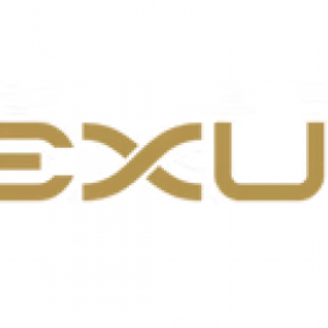 Exult Global