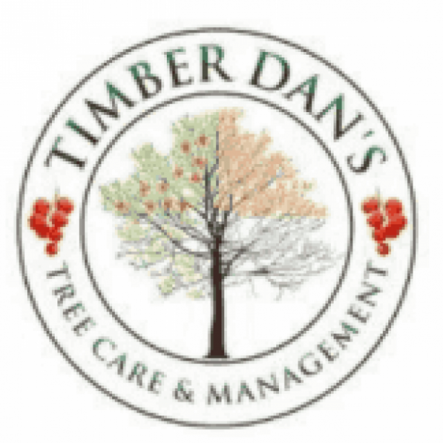 Timber Dan's