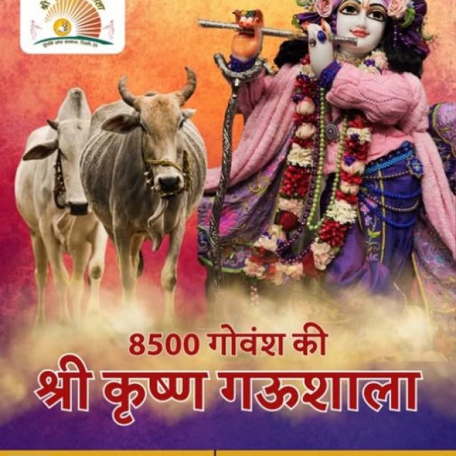 Shri Krishan Gaushala Supports Cow Welfare with Heartfelt Care