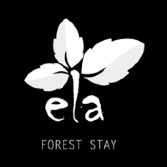 Ela Forest Stay - Tree House Stay in Kerala