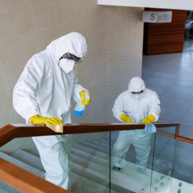 Mold Removal Daytonoh