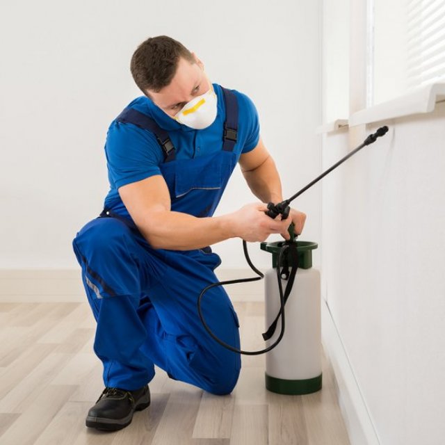 Rodent Control Newcastle