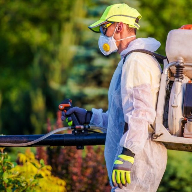 Pest Control St Paul