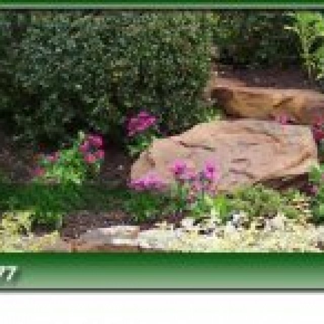 Noack Maintenance & Landscaping Co., Inc.