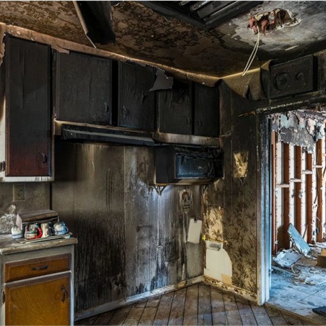 Boasting Mold, Fire, and Water Restoration