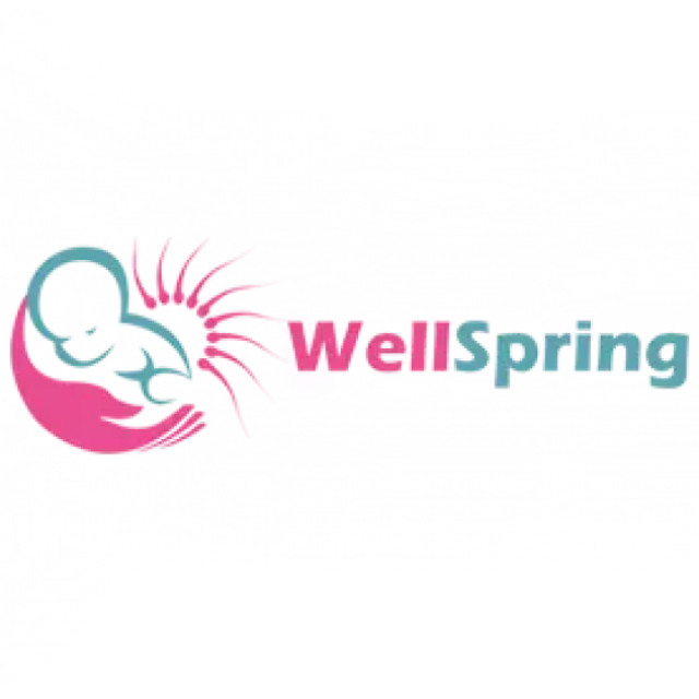 Wellspring IVF & Women Hospital