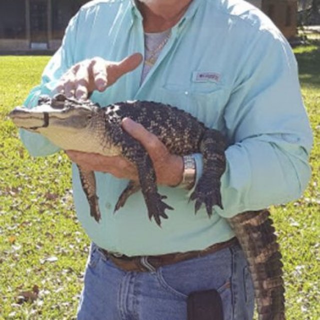 Swamp Fever Airboat Adventures