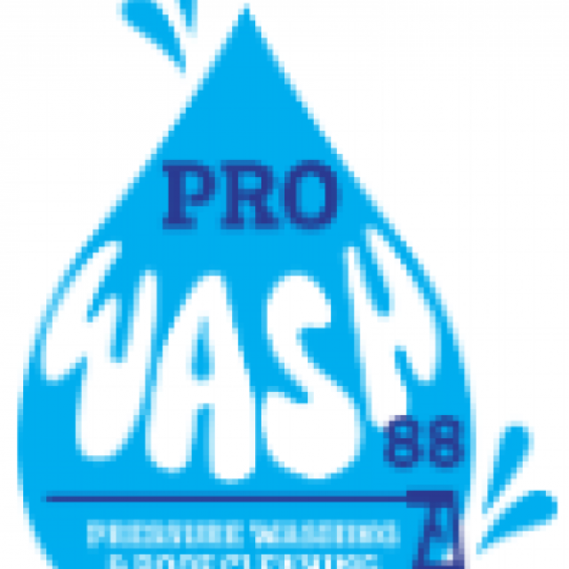 Pro Wash 88