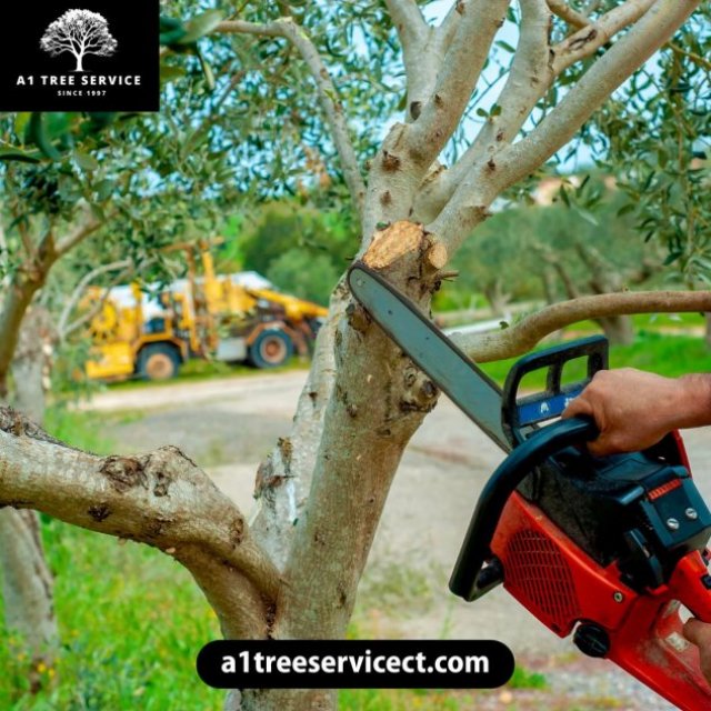 A1 Tree Service LLC