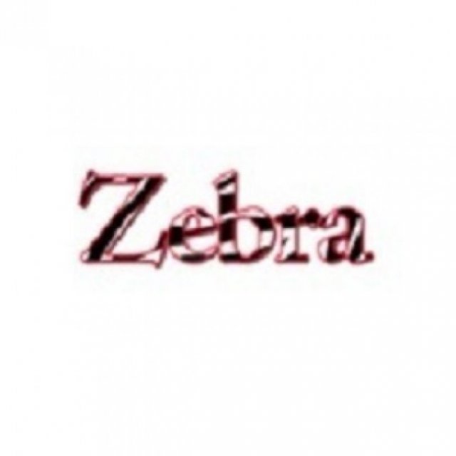 The Zebra Press