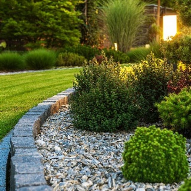 Hedge and Stone Landscapes by Simon Tallack