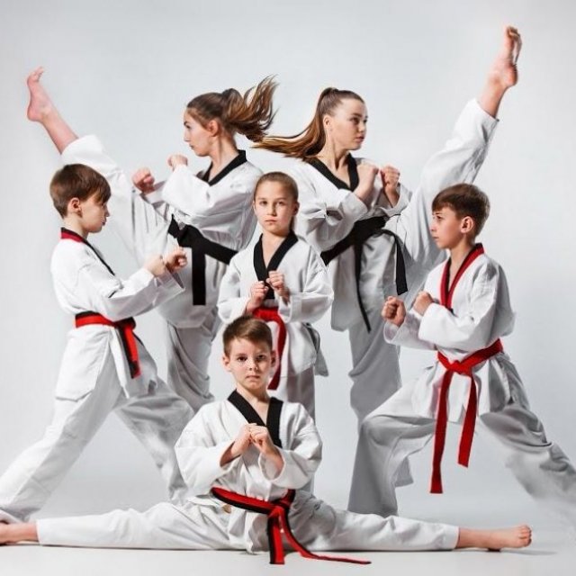 Pinnacle Taekwondo Martial Arts in Earlwood