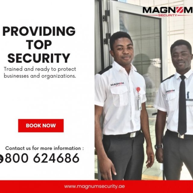 Magnum Security