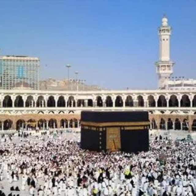 https://weboworld.com/pictures/place-thumb/97/25.07.09.17.24-1752062041.3167-78947468.png