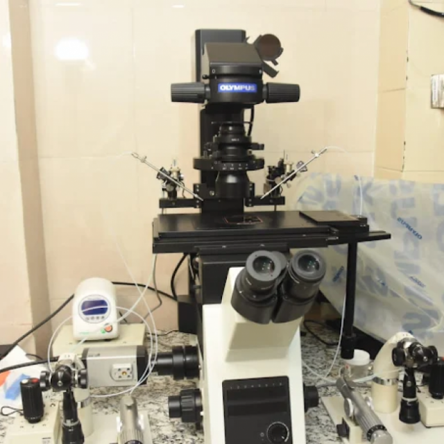 Calcutta Cureline - Best Gynaecologist & IVF Infertility Clinic in Kolkata