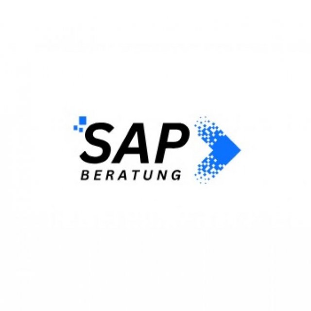 SAP Beratung