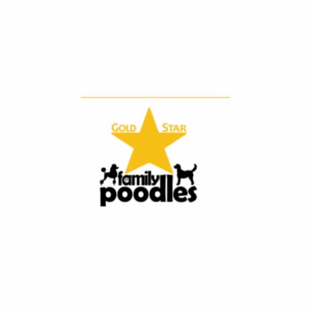 Gold Star Family Poodles